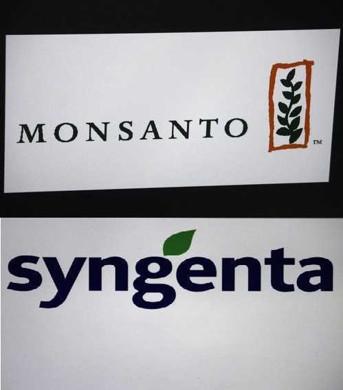Monsanto/Syngenta