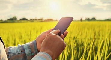 Smartphone