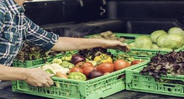 Vegetables