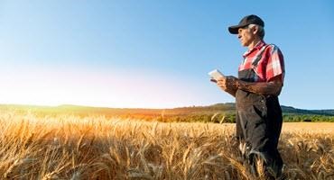 Farmer on tablet