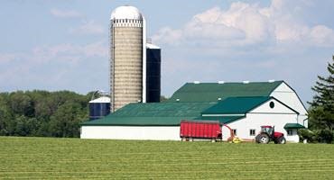 Farm scene