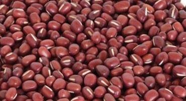 Adzuki beans