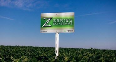 Z-Series soybeans