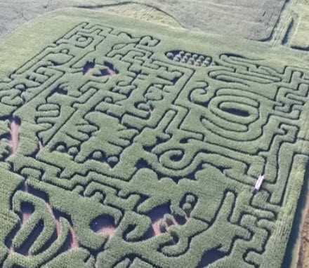 Corn maze in New Brunswick