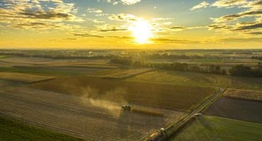 Farm fields