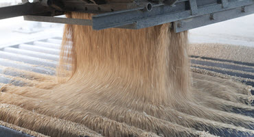 Wheat pouring into grate