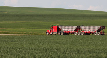 Grain truck