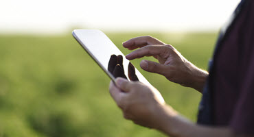 Farmer using tablet