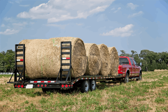 Wagon/Trailer