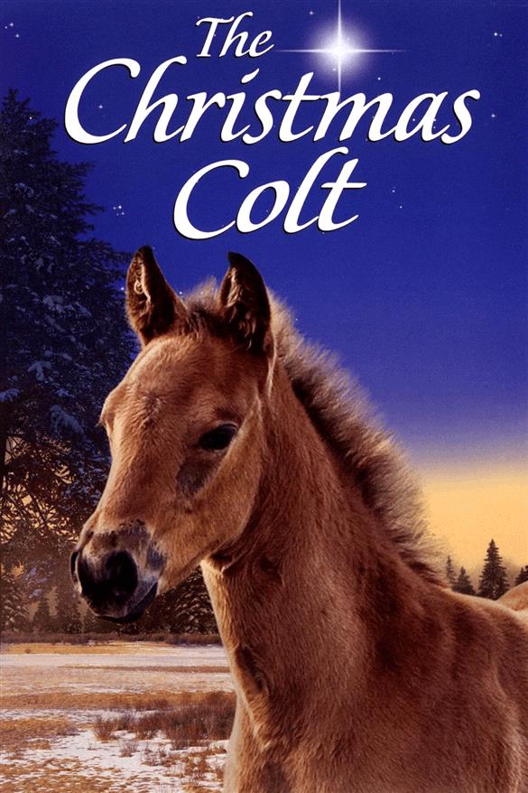 A Christmas Colt
