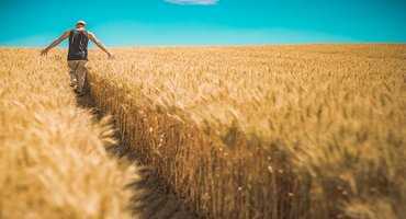 1. Alberta farmland averaging more than $2,500 per acre