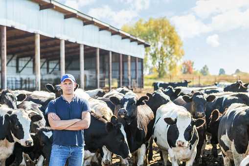 6. Wisconsin dairy farmers looking for buyers