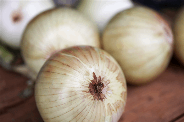 Onions - Bug Bite Remedy