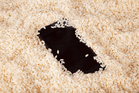 Rice/Oatmeal - Cellphone Dryer