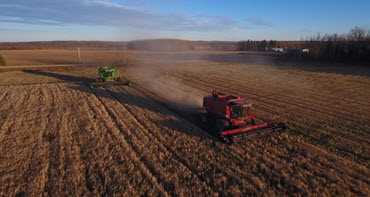 2017 Alberta Harvest