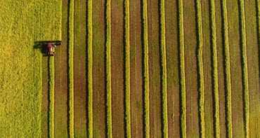 Farming Near MacGregor, Man.