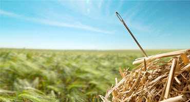 Needle in a Haystack