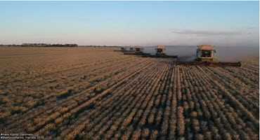 Harvesting with CLAAS equipment