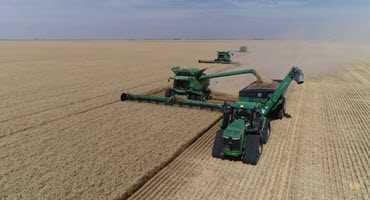 Harvest 2018