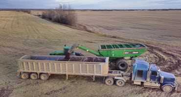 Harvest in Northern Alberta
