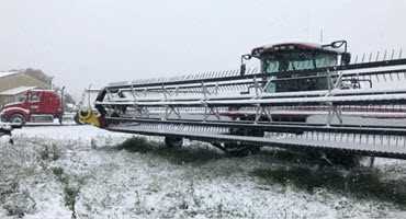 Alberta ag disaster
