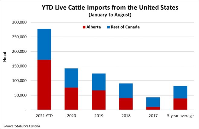 YTD Live cattle imports from the United States