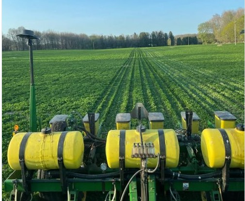 Planting corn in 2022 into a living red clover cover crop that was terminated with herbicides after planting. In this scenario, supplementing with 60 pounds synthetic nitrogen per acre was enough to produce 250 bushels per acre corn yields. Photo by Tyson Robbins.