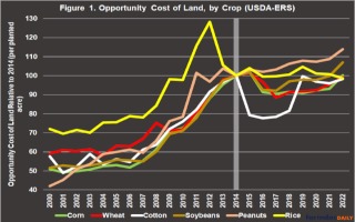 The cash rent for cotton is a clear outlier in Figure 1. 