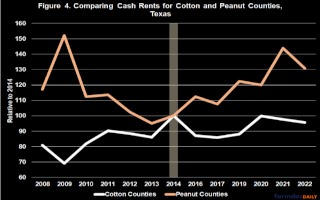 Here again, Figure 4 supports a conclusion that farm program payments and base acres have a noticeable impact on cash rents.
