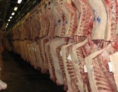 What's Causing Beef Markets to Spike? Livestock Marketing Information Center's Jim Robb Explains