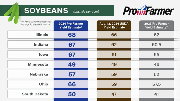 soybean