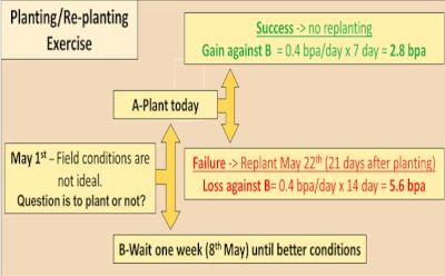 Figure 2. Hypothetical effect of different planting/replanting scenarios on yield, considering the expected depression in yield estimated for Figure 1b of 0.4 bushels per acre per day of delay in planting date during May.  