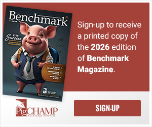 Benchmark Magazine