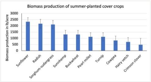 plants-fallow-summer-periods