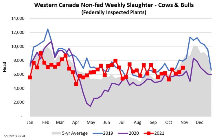 Western Canada non-fed weekly slaughter – Cows and bulls