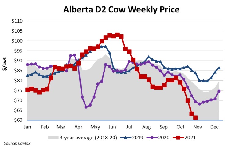 Alberta D2 cow weekly price