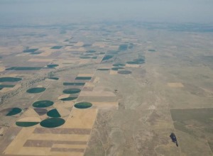 An aerial view of farmland affected by the drought in July 2012, which began as a flash drought. Green circles show irrigated crops next to yellowed, dryland wheat fields.
