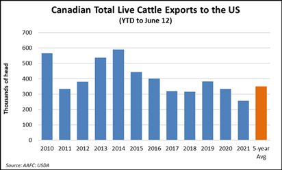 Canadian total live cattle exports to the United States