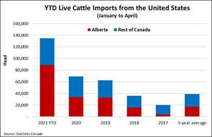 Live cattle imports from the United States