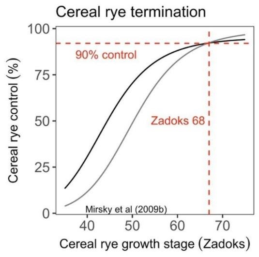 cereal-rye-termination