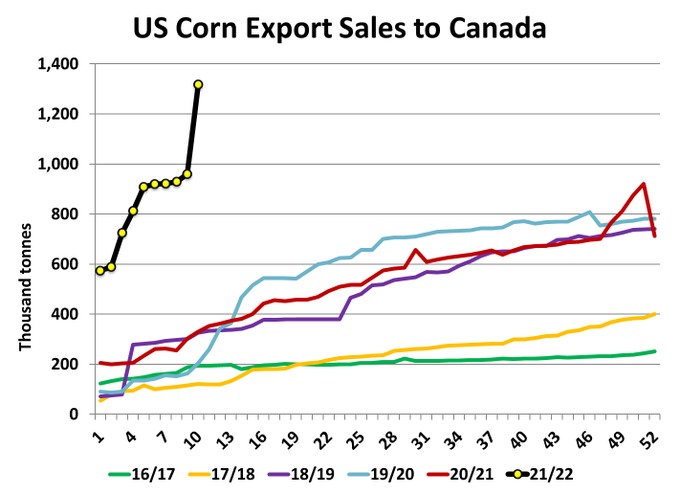 US Corn Export Sales to Canada