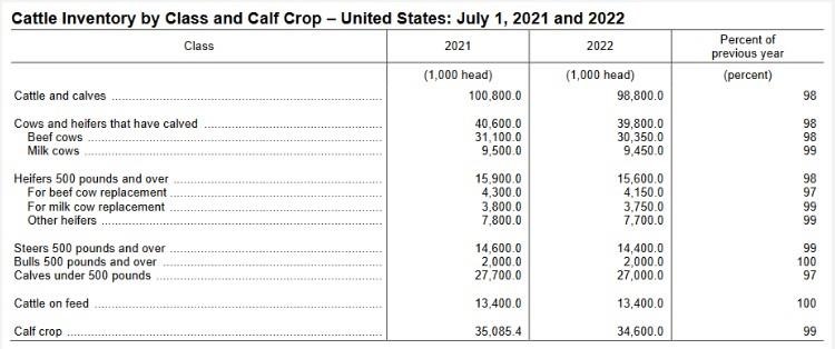 US Beef Cows Drop 2% in NASS July Cattle Inventory Report2