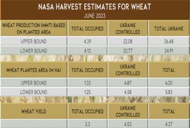 NASA Harvest’s wheat estimates for Ukraine based on satellite imagery, including both Russian-occupied and Ukrainian-controlled territories.