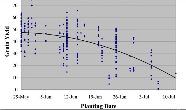 Assessing Flood Damage to Soybean