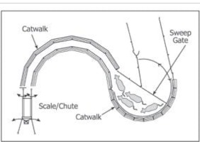 Develop a system that meets your cattle working needs that’s safe and efficient.