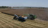 Achieving World Record Corn With Pioneer® brand 1197YHR
