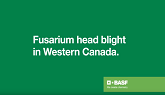 BASF | Fusarium Head Blight in Western Canada