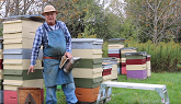 Tipping Hives