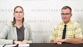 Strategies to move more pigs from bir...