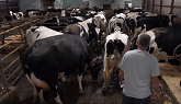 Rein Farms Lely Life Story